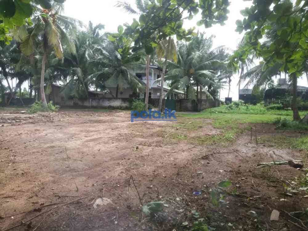 Land for sale in kahawa - photo 1