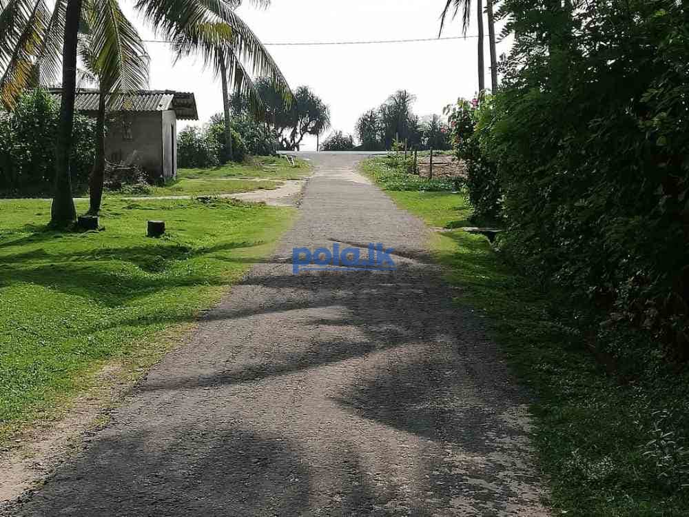 Land for sale in kahawa - photo 3
