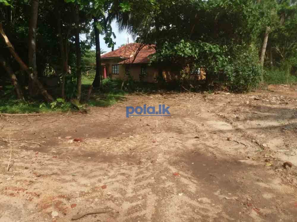 Land for sale in kahawa - photo 6