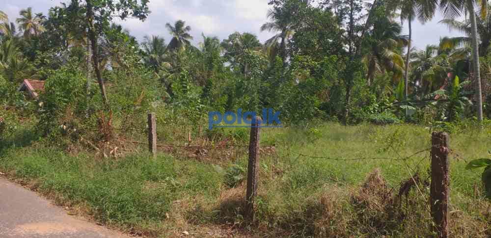 Land for sale in dankotuwa - photo 5