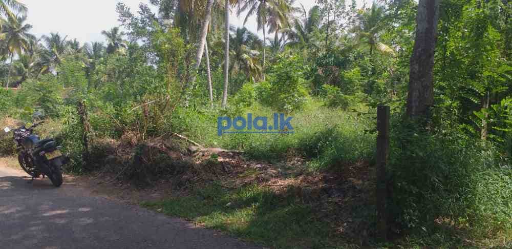 Land for sale in dankotuwa - photo 6