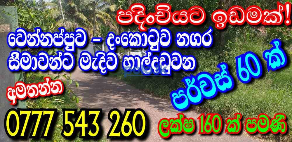 Land for sale in dankotuwa - photo 7