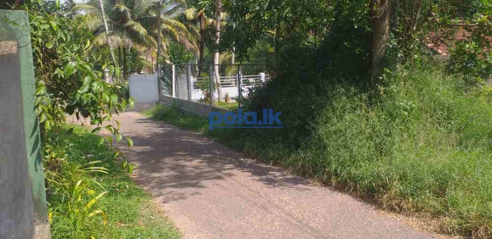 Land for sale in dankotuwa - photo 4