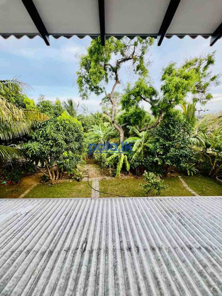 Home & land for sale in lunugamwehera - photo 3