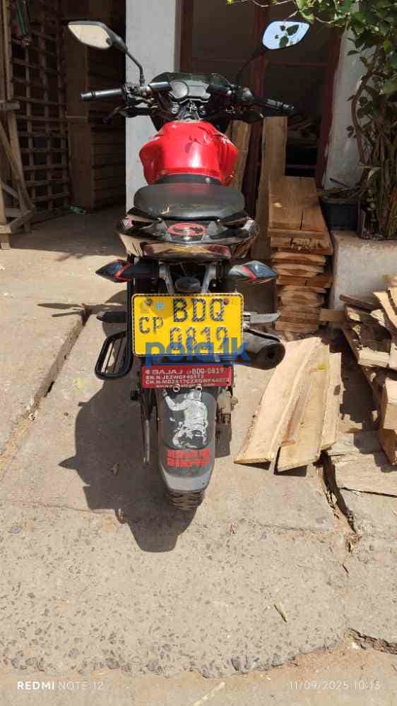 Pulser 135 ls - photo 2