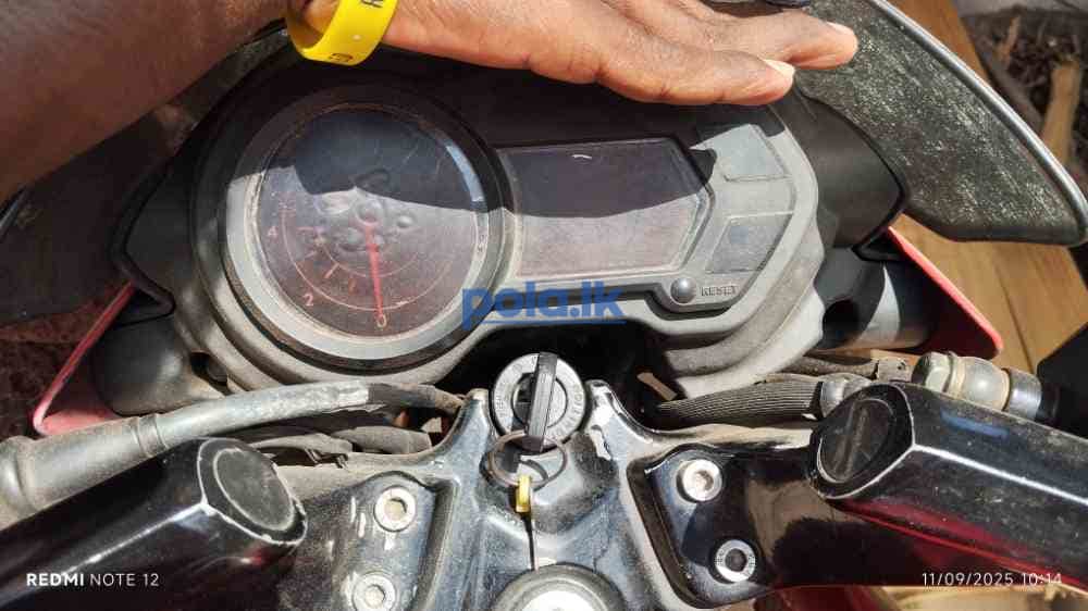Pulser 135 ls - photo 4