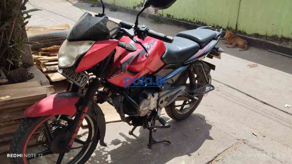 Pulser 135 ls - photo 3