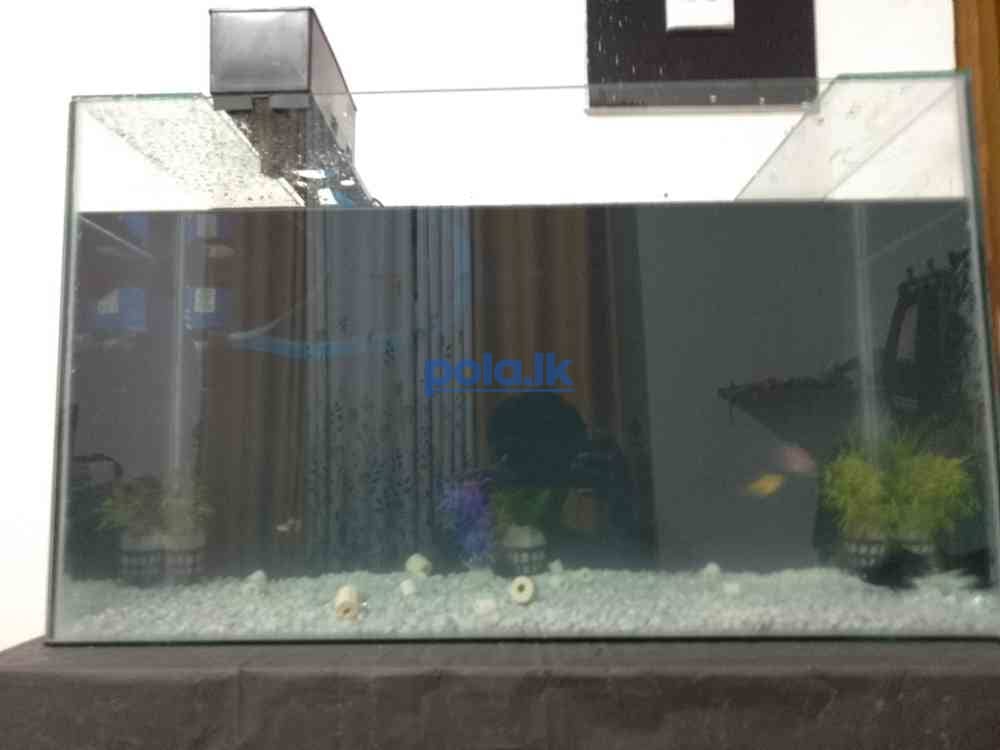 Fish tank - photo 1
