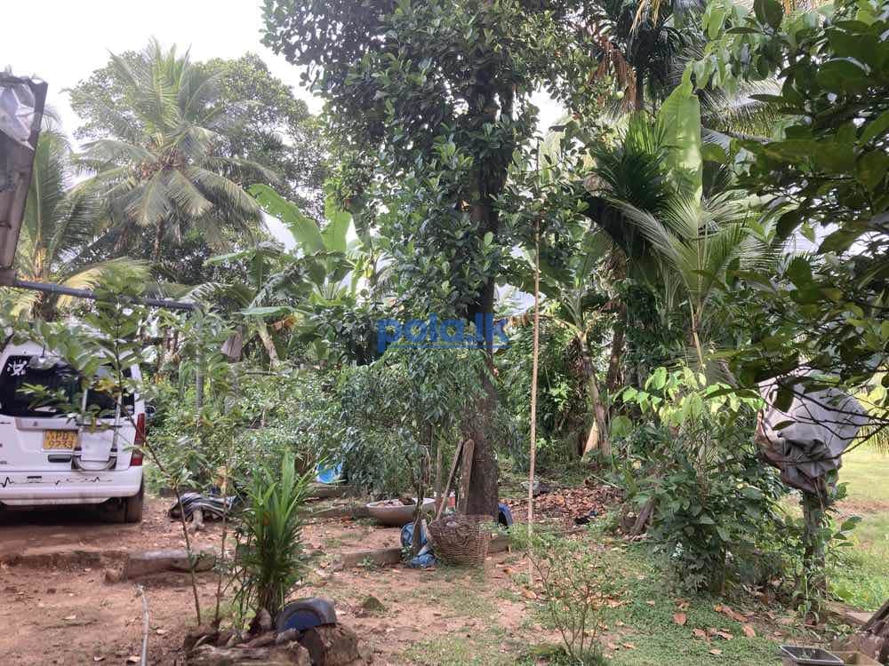 House for sale in kaduwela - photo 16