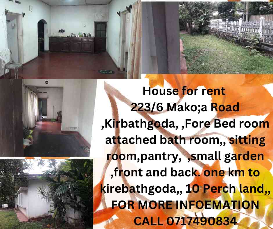 House for rent