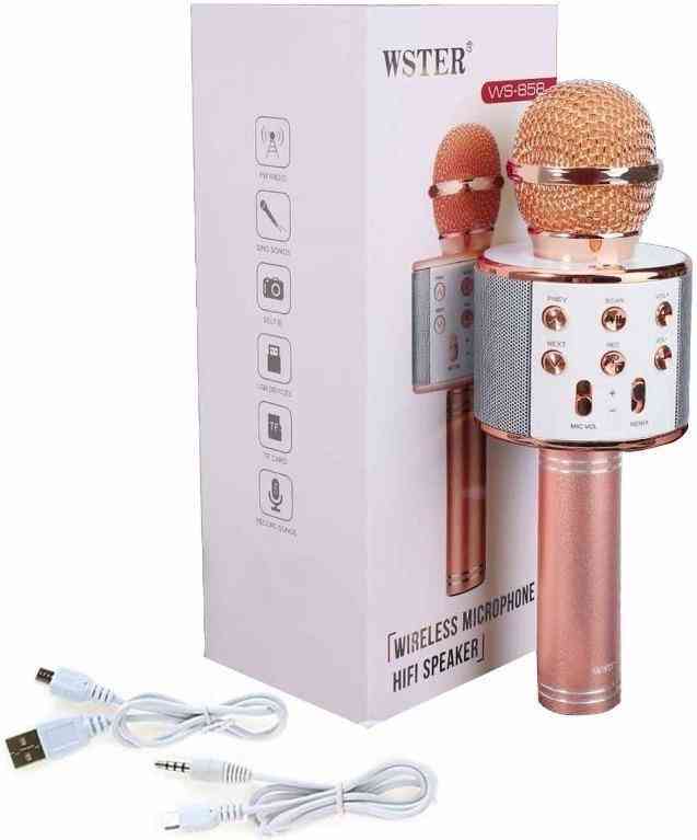 Karaoke microphone