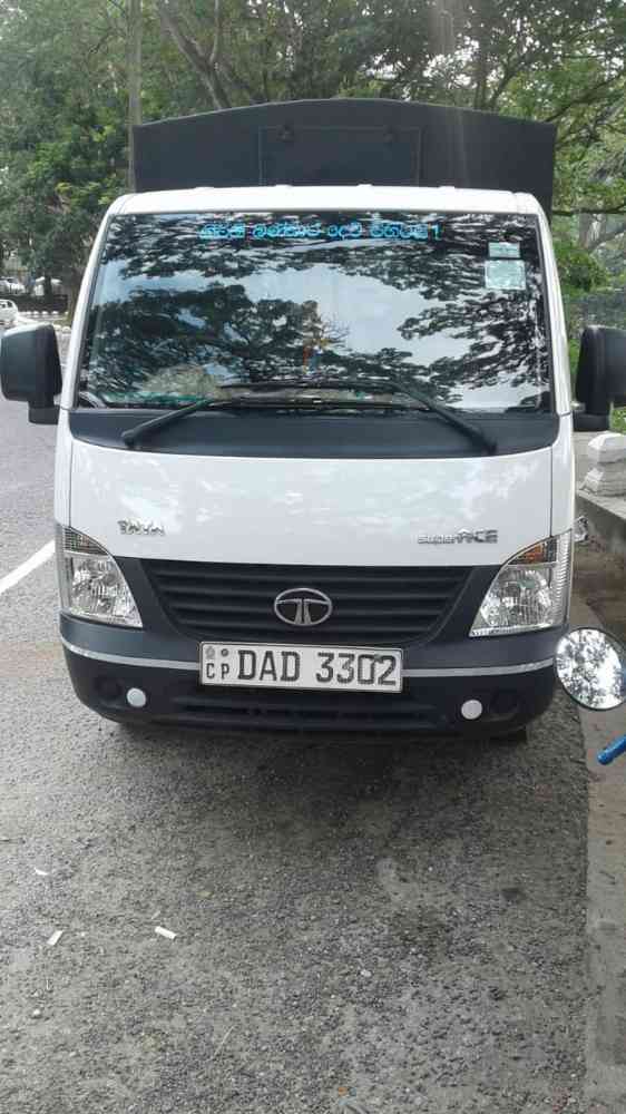 Dimmo lokka for sale