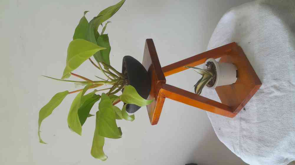Uncommon wood flower vase