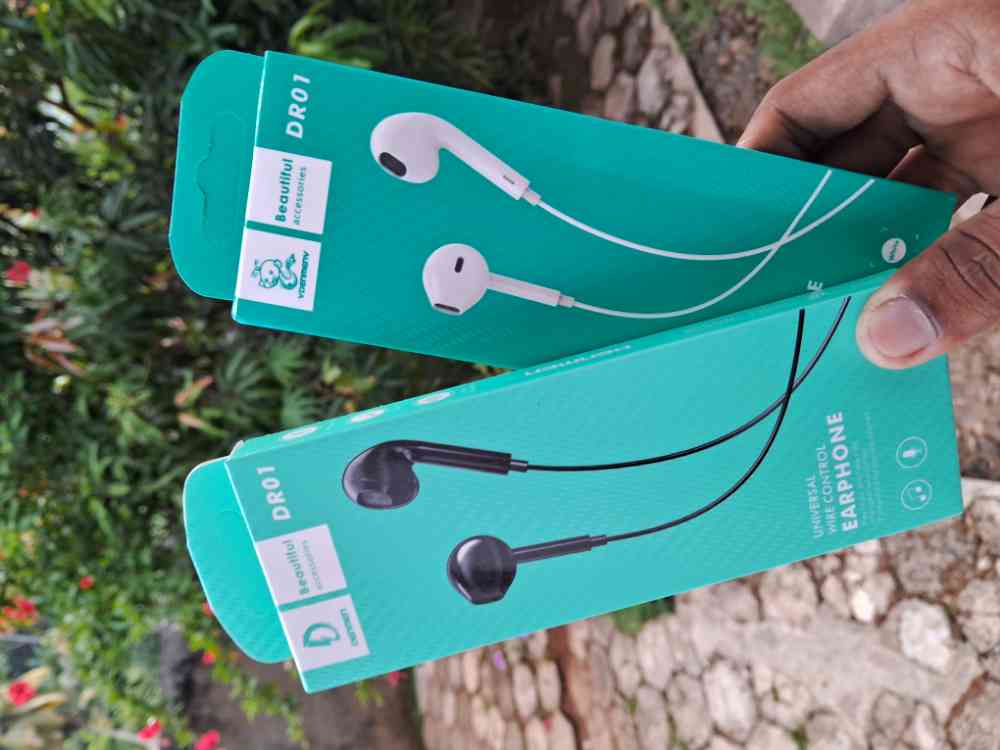 Denmen earphones
