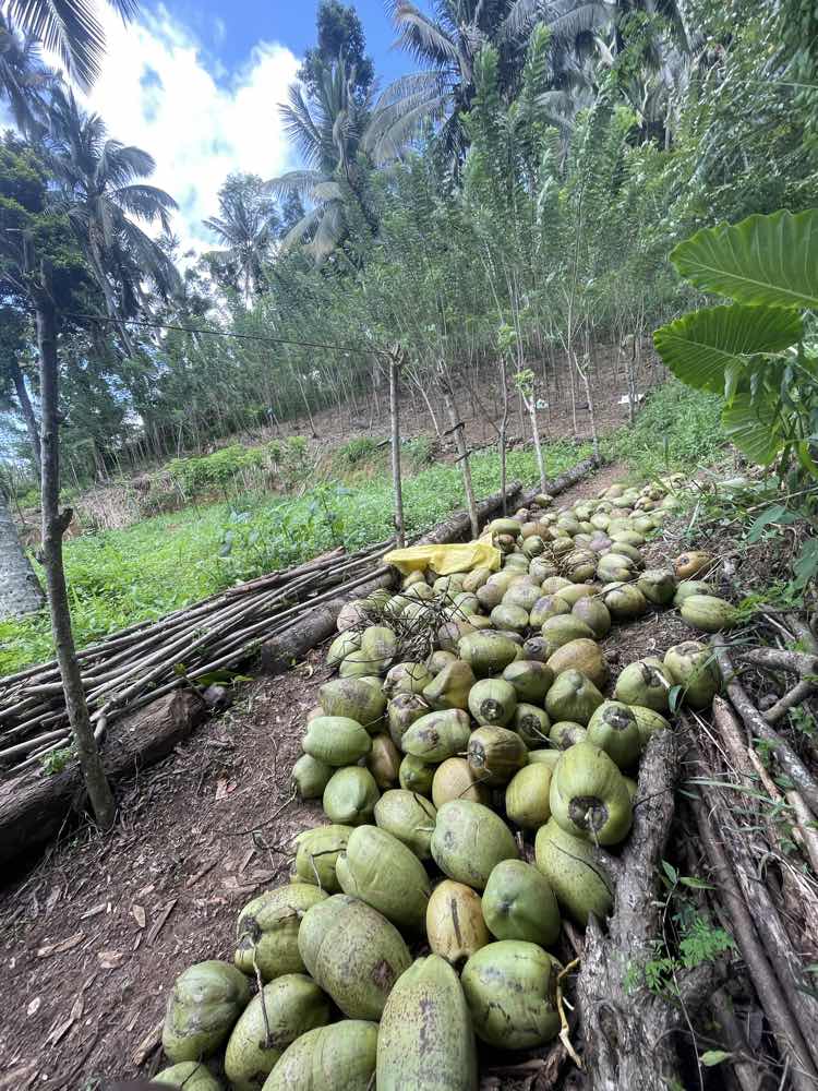 Land for sale in balangoda