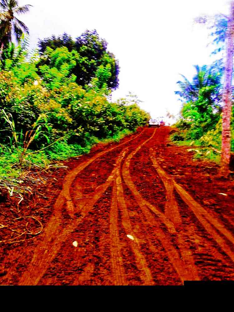 Land for sale in ehaliyagoda