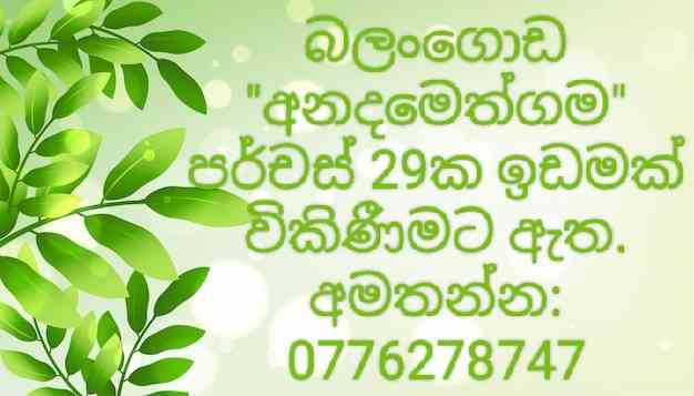 Land for sale in balangoda