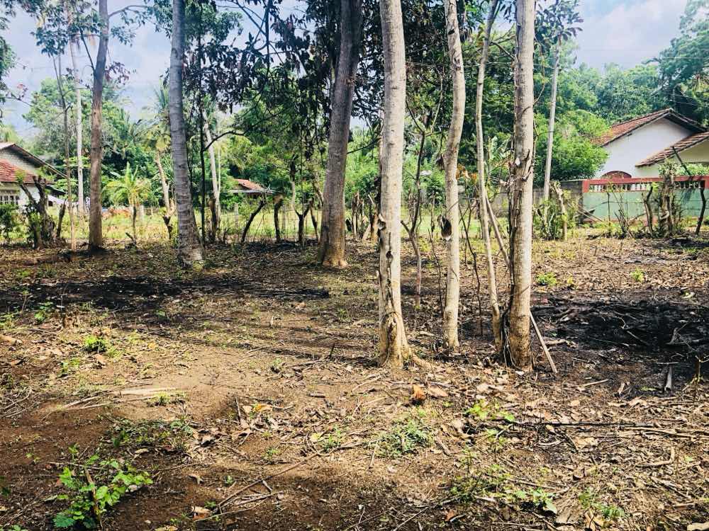 Land for sale in thissamaharama