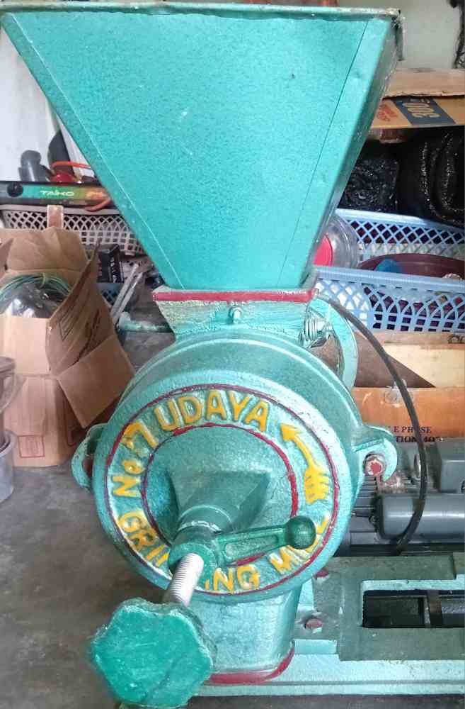 Single phase motor