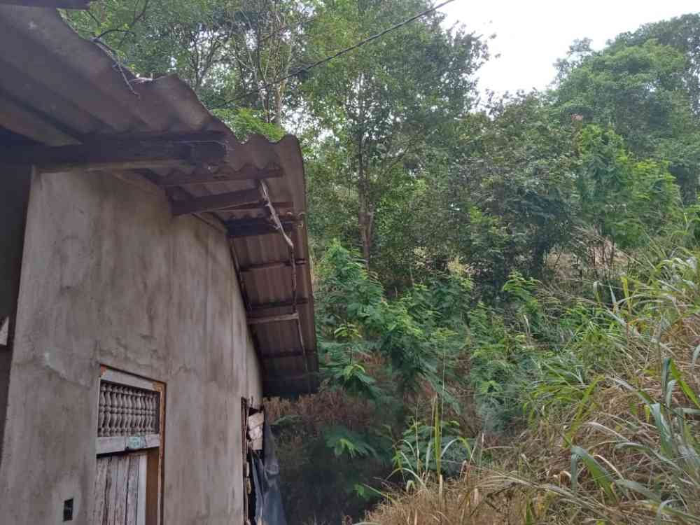 House for sale in pelmadulla