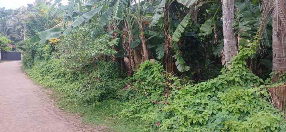 Land for sale in beliatta