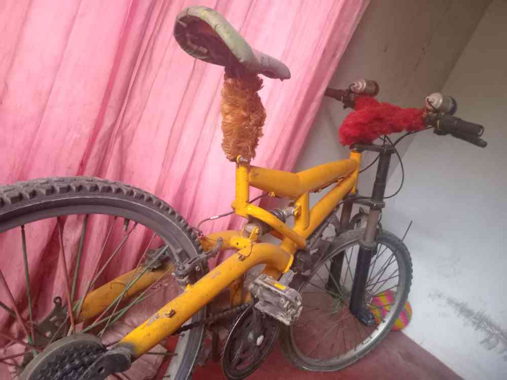 Bicycle for sale