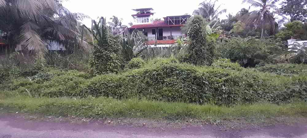Land for sale in tangalla