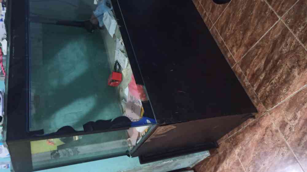 Fish tank for sale