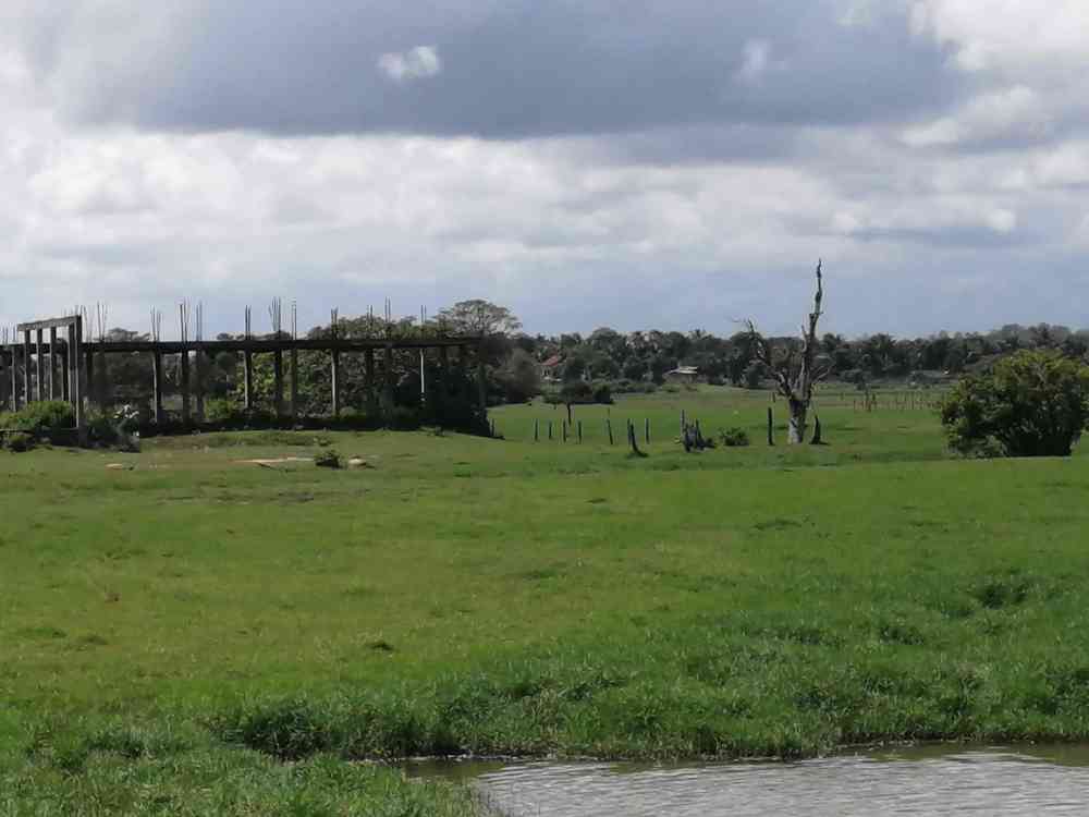 Land for sale in ampara