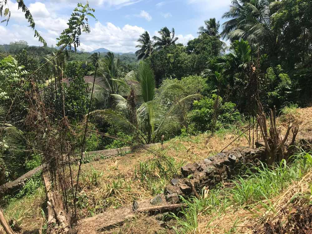Lands for sale in rathnapura