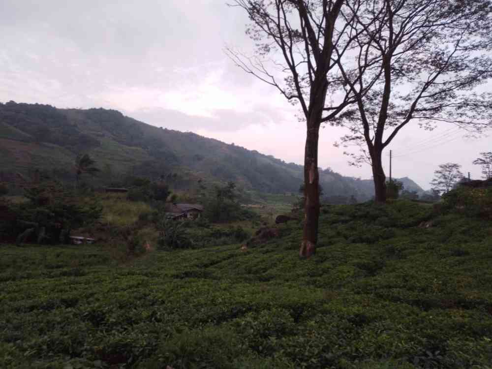 House for sale in balangoda
