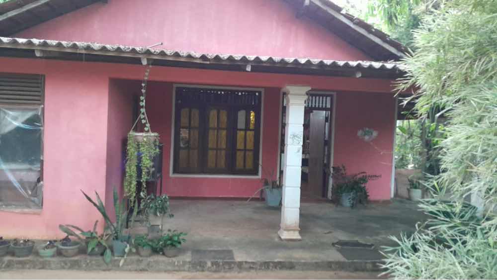 House for sale in pinnawala