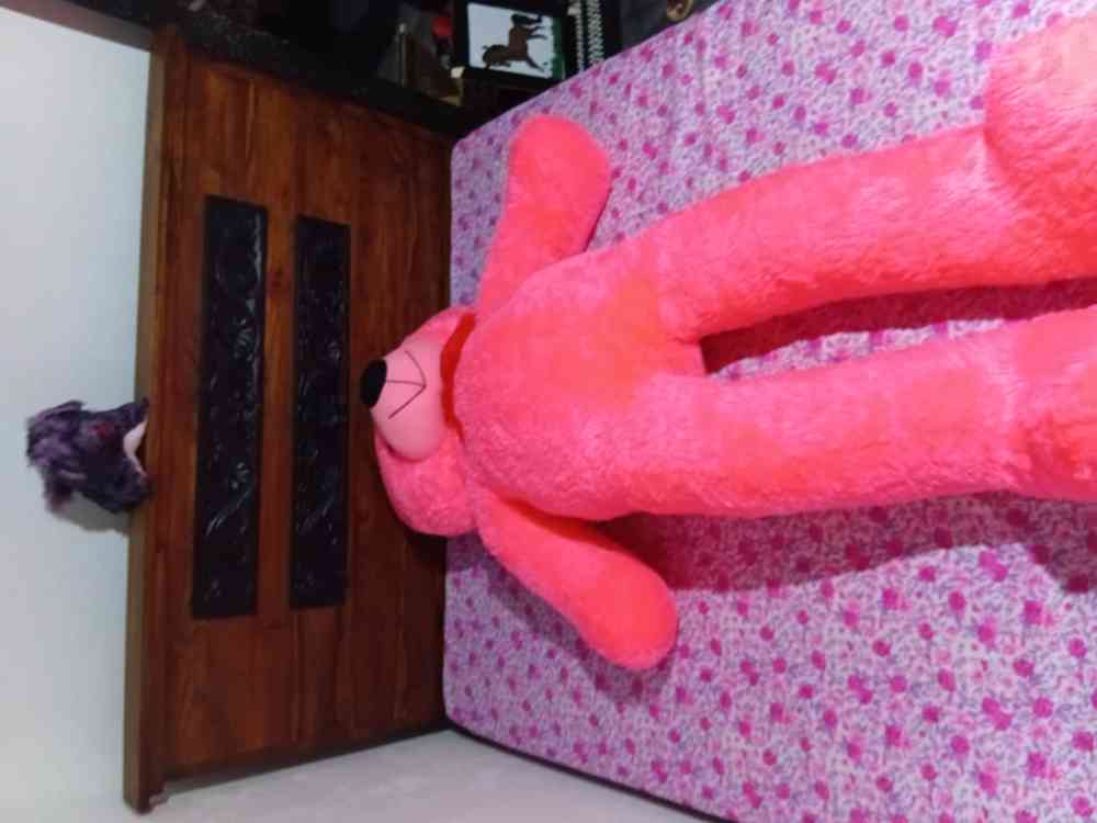 Teddy bear