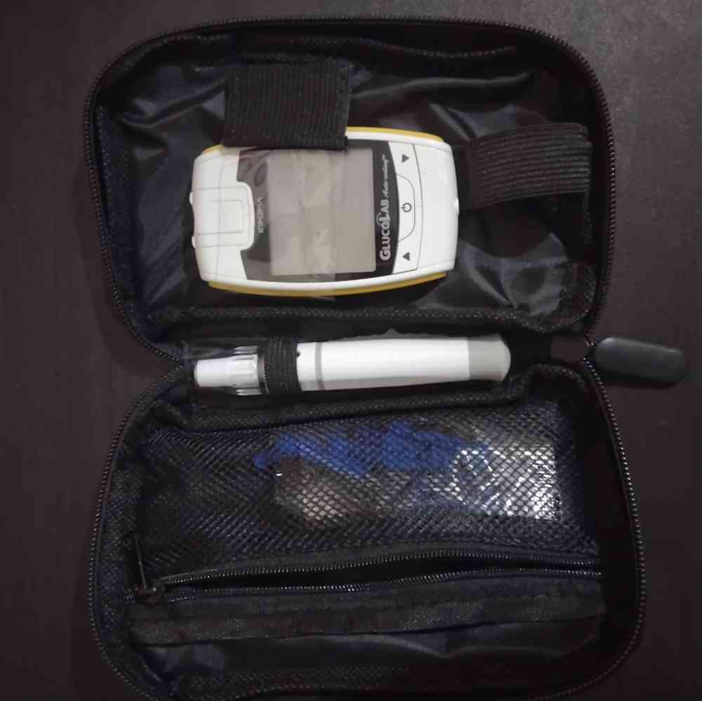 Glucose meter testing kit