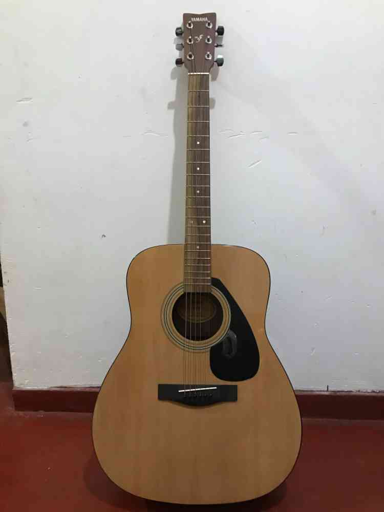Yamaha F310