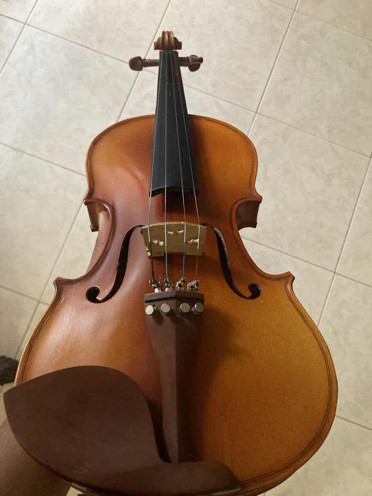 Honey brown violin