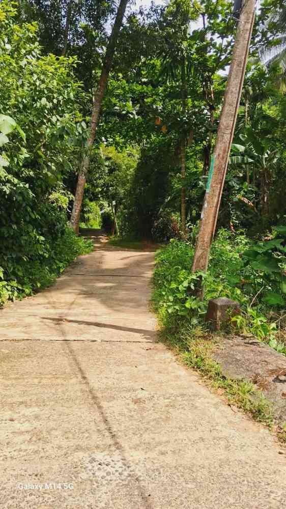Prime located land for sale in warakapola