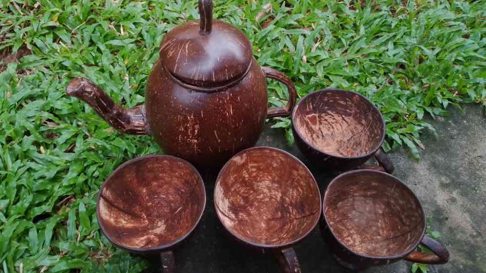 Coconut shell jug and cup set
