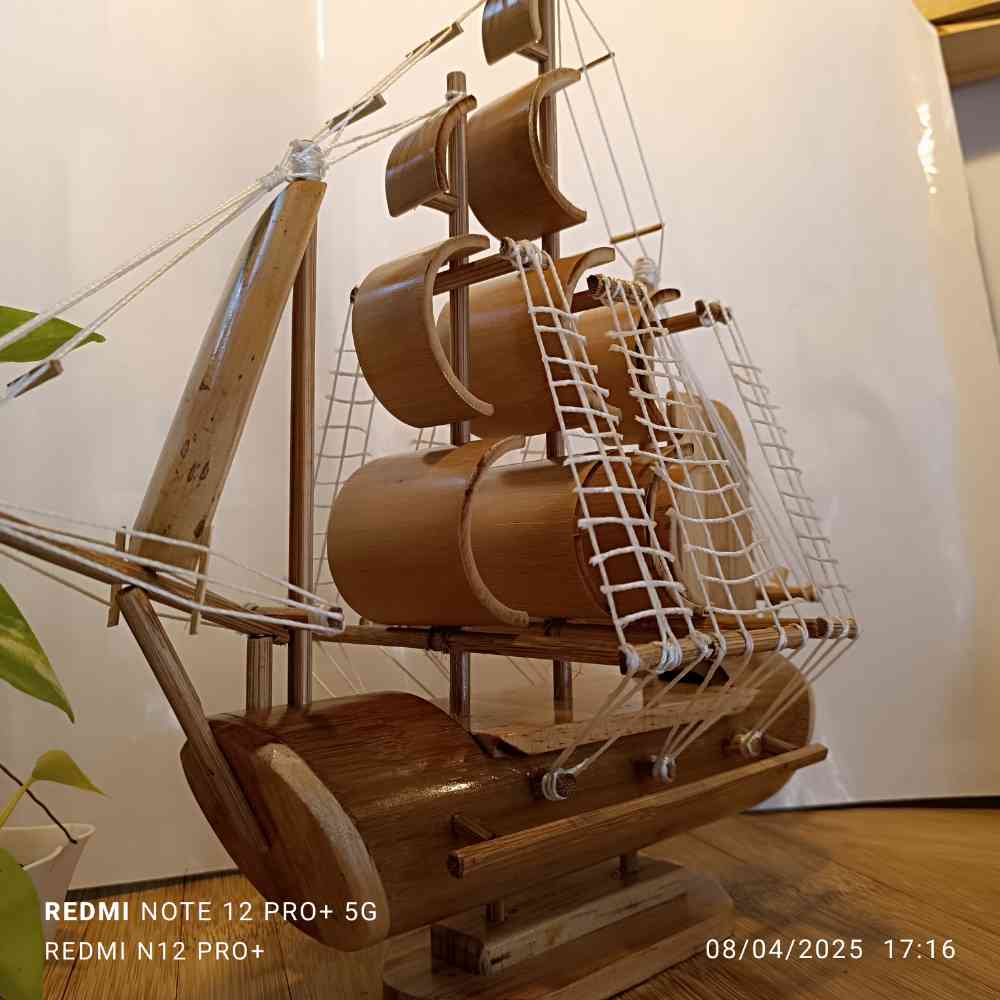 Bamboo ship