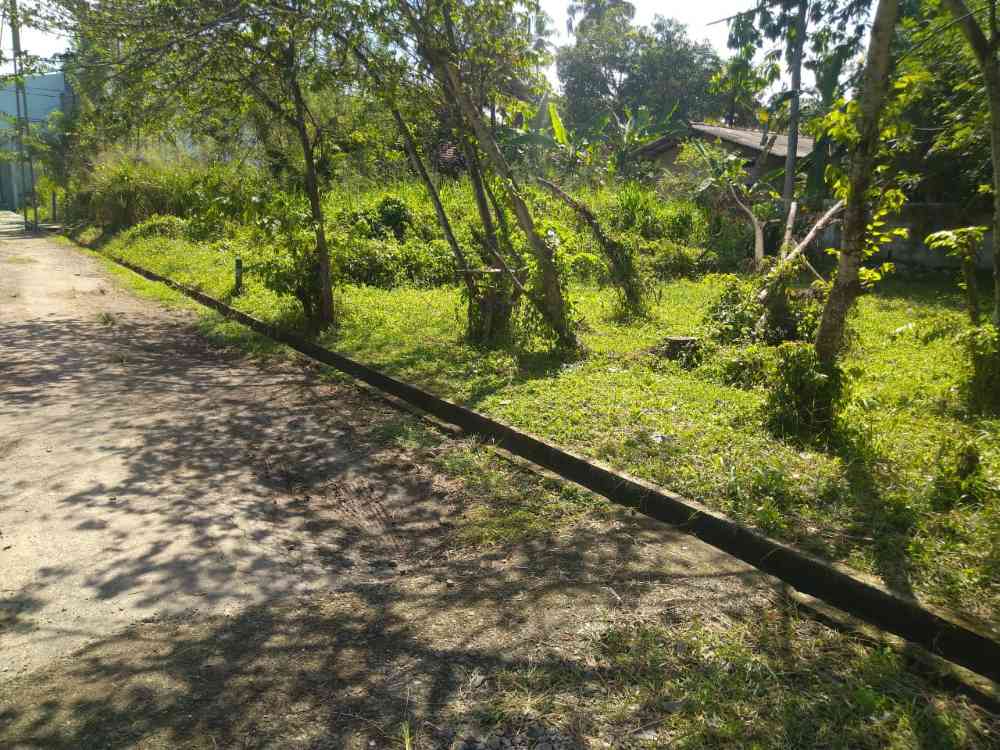 Land for sale in matara