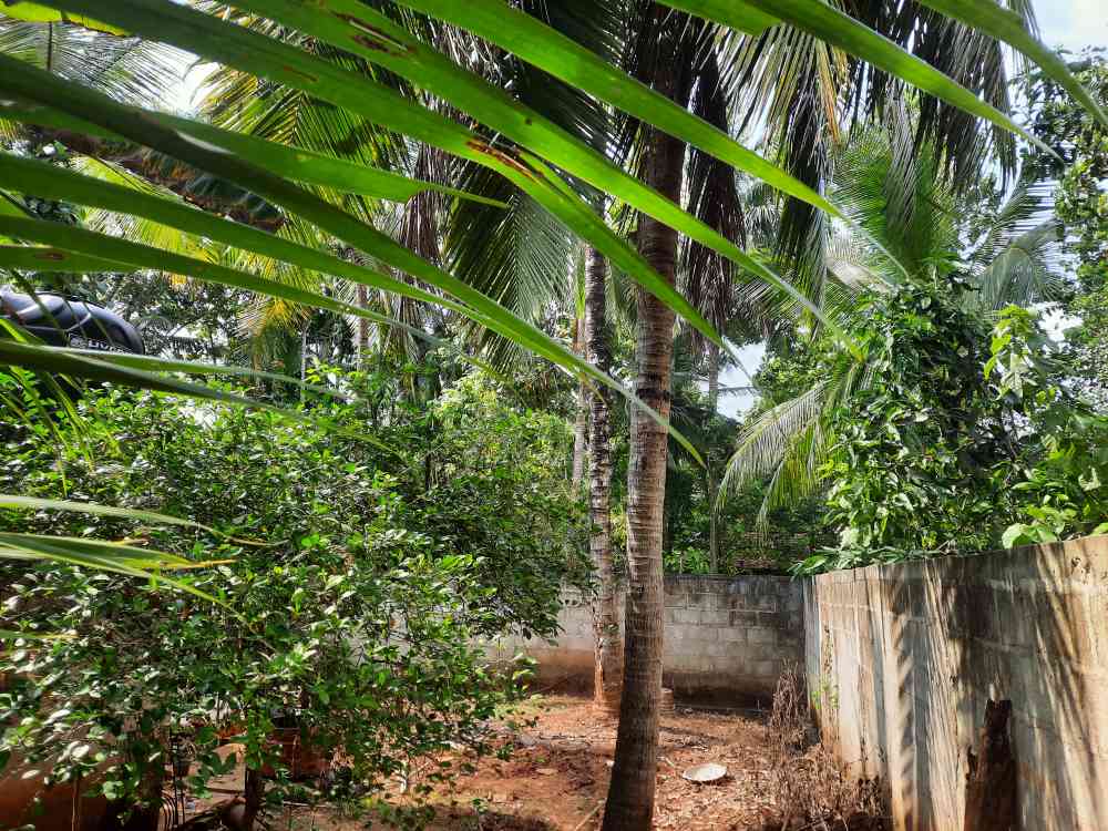 House for sale in kekirawa