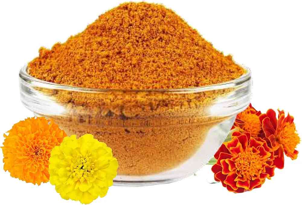Marigold powder