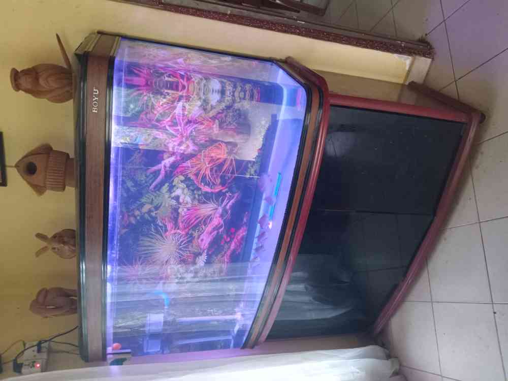 4 x 2 Boyu fish tank for sale