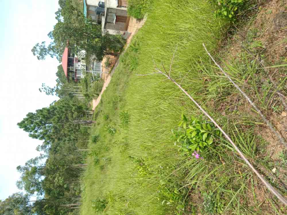 Land for sale in welimada