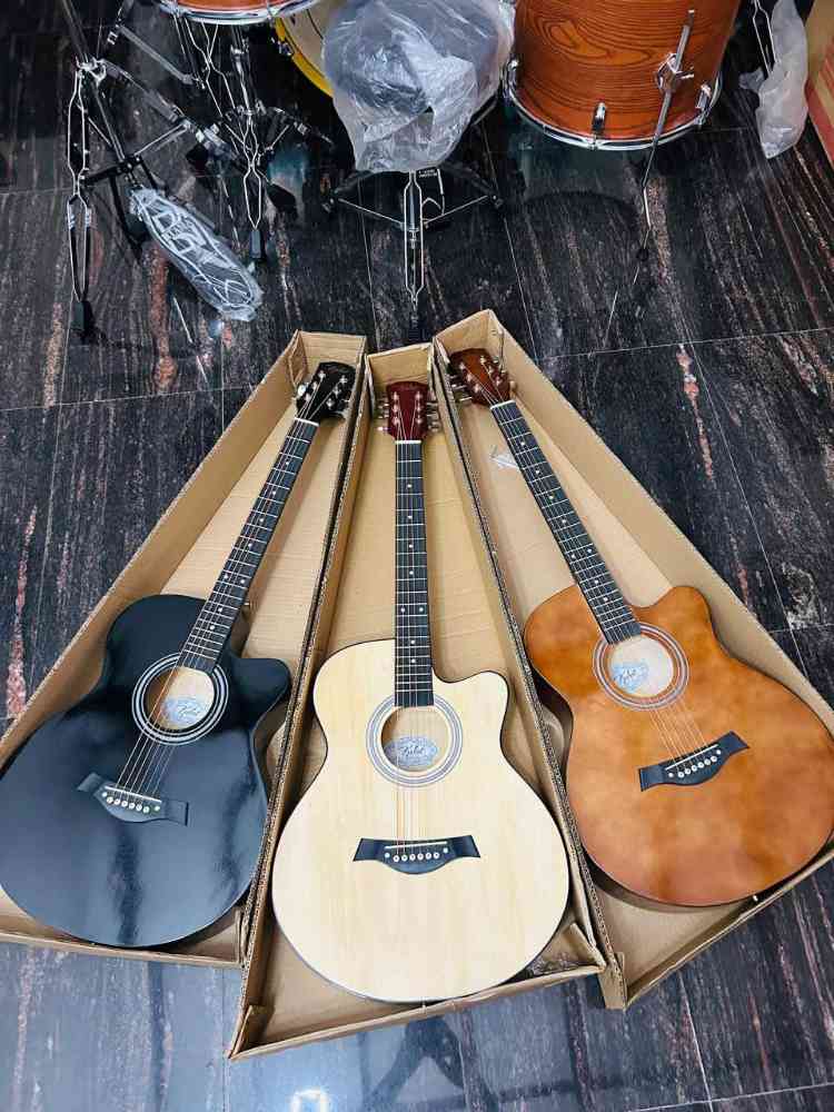 Acoustic guitar