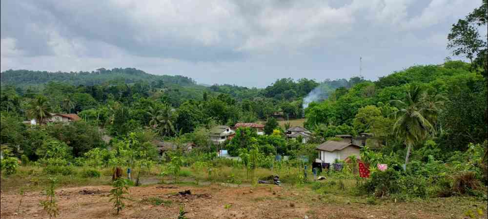 Hathamuna land for sale