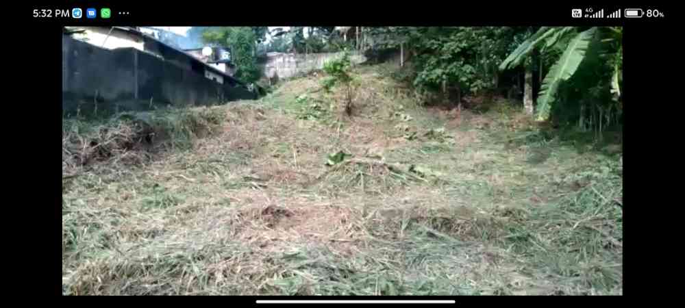 20 perch land beside pinnwala zoo