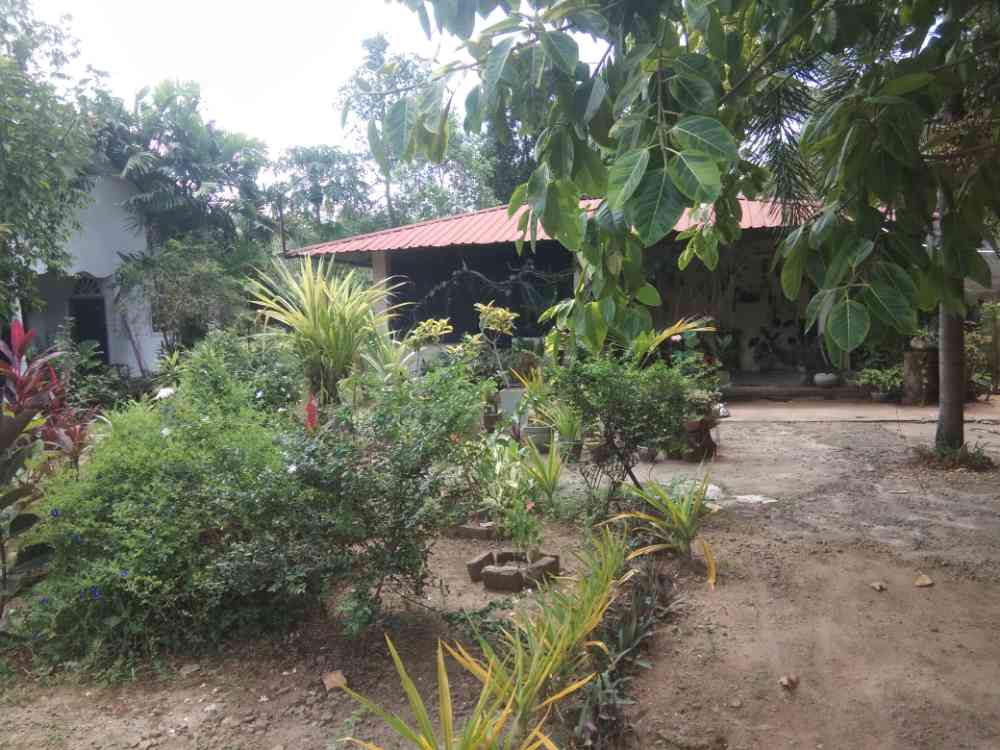 Land for sale in narammala