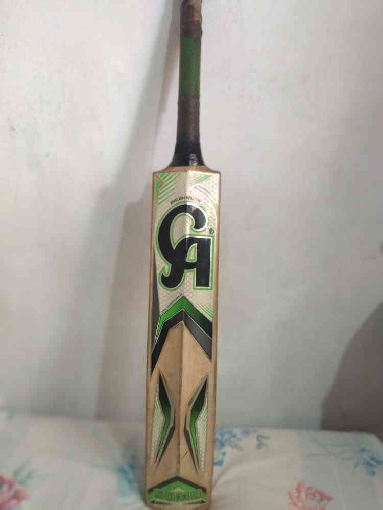 Cricket bat