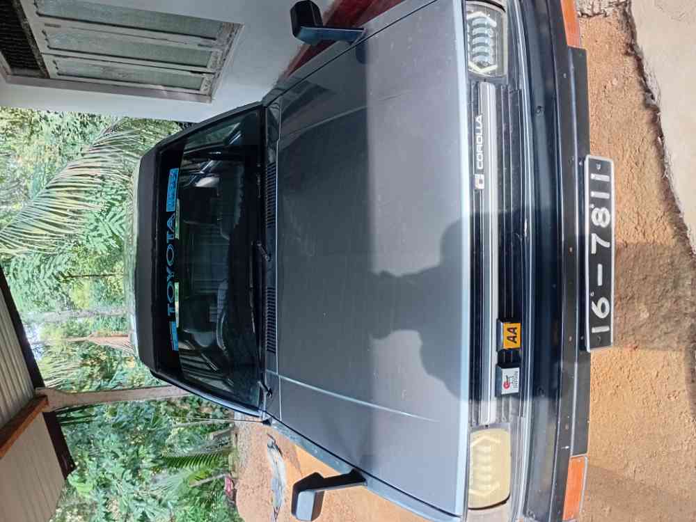 Dx wagon ke72
